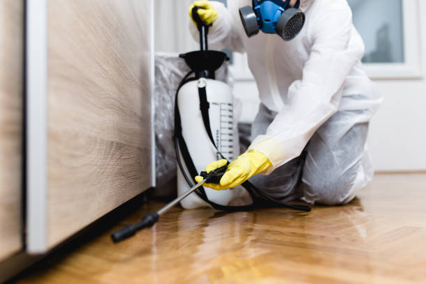Best Residential Pest Control  in Kenmore, WA