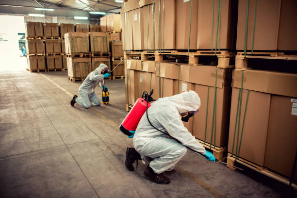 Best Pest Control Cost  in Kenmore, WA