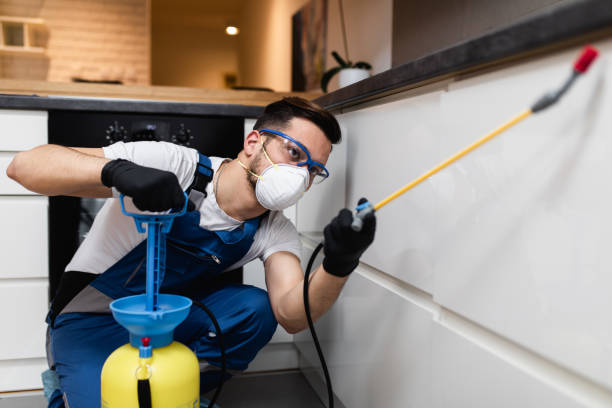 Best Insect Control  in Kenmore, WA