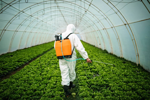 Best Commercial Pest Control Services  in Kenmore, WA
