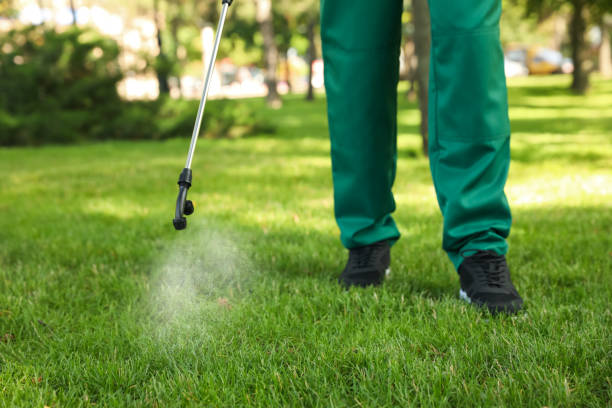 Best Cockroach Control Services  in Kenmore, WA