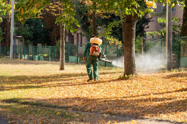 Best Best Pest Control Companies  in Kenmore, WA