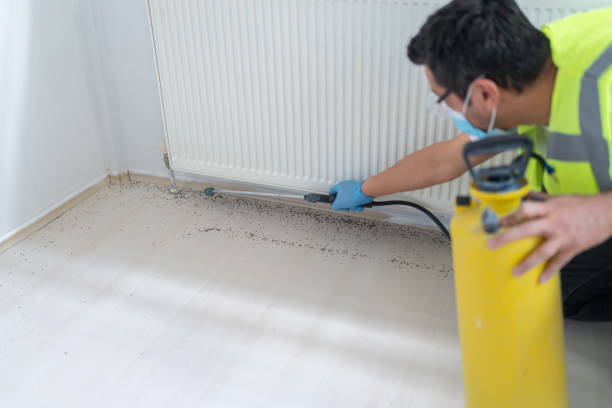 Best Residential Pest Control  in Kenmore, WA