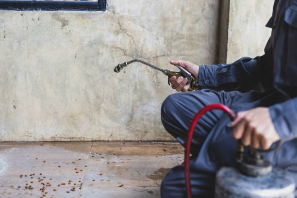 Best Pest Control Treatment  in Kenmore, WA